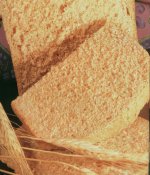 100% Whole Wheat Bread (Bread Machine)