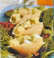 Bay Scallops & Shells