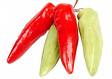 Pickled Hot Pepper Rings