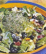 Salad Supreme