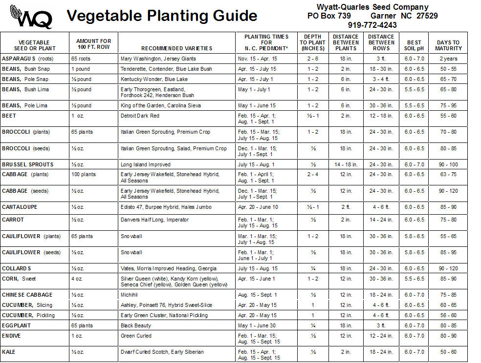 From Seed Growing A Sustainable Life Family And Business When From Seed Growing A Sustainable Life Family And Business When